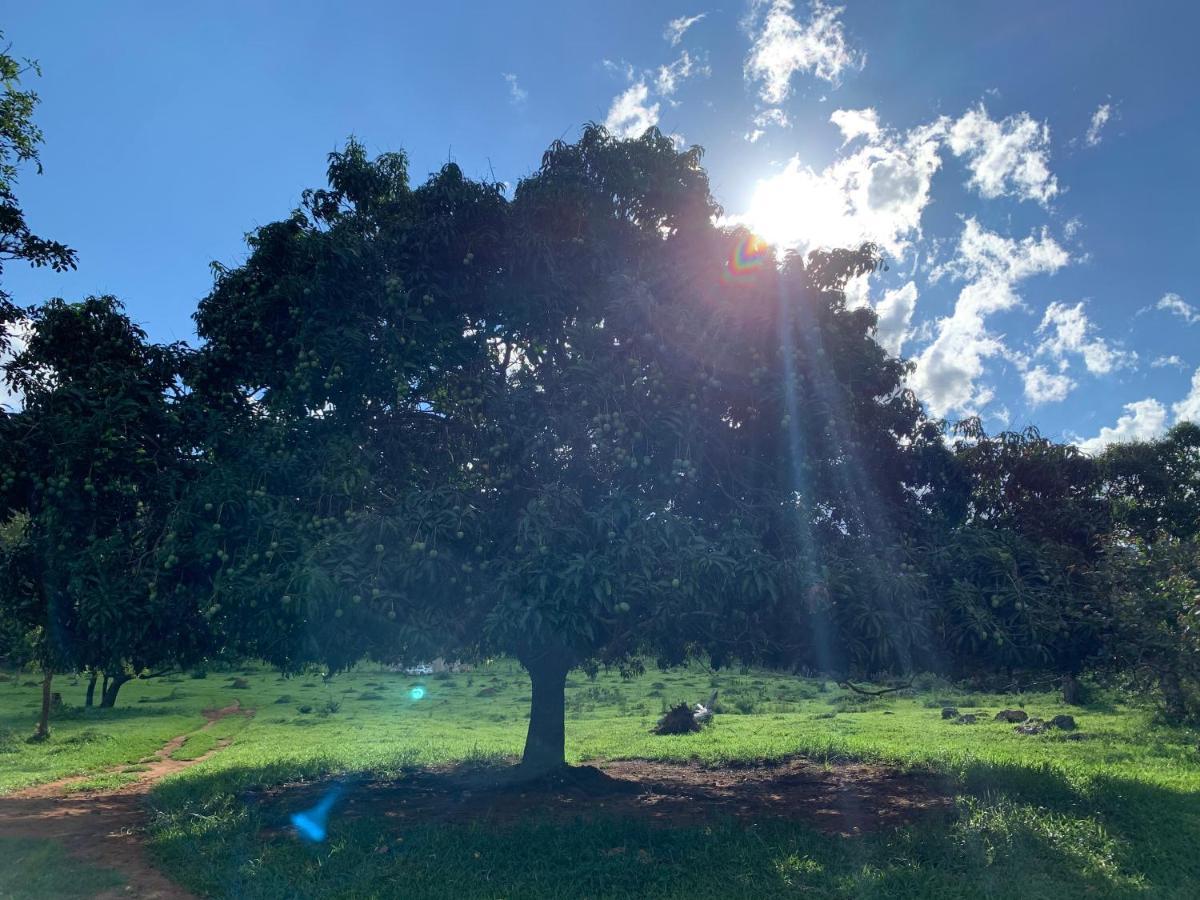 Chale Da Picareta Villa Sao Roque de Minas Bagian luar foto